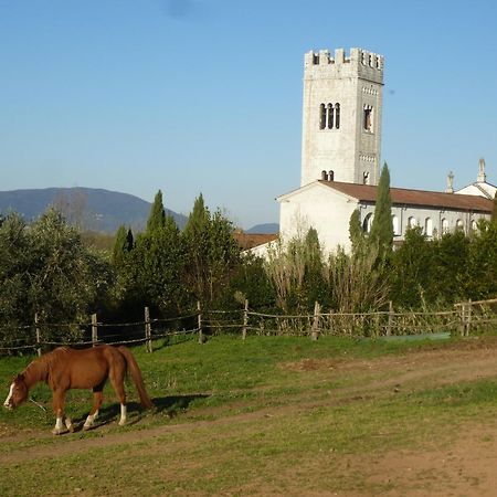 Casa Marce A "Sonno" Bed & Breakfast Porcari ภายนอก รูปภาพ