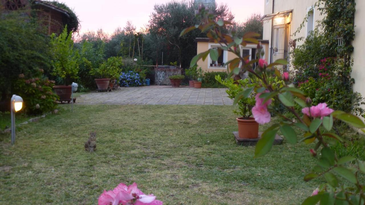 Casa Marce A "Sonno" Bed & Breakfast Porcari ภายนอก รูปภาพ